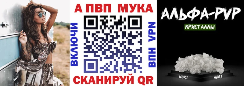 Как найти закладки Павловск Марихуана  СК  ОМГ ОМГ ТОР  Меф мяу мяу 