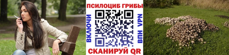 даркнет сайт Павловск Галлюциногенные грибы Cubensis